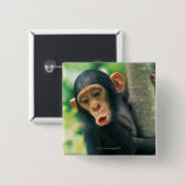 若いチンパンジー(鍋のtroglodytes) 缶バッジ (正面&裏面)