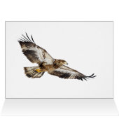 若いハゲワシが飛び立つ (内部横(上))