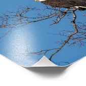 若いハゲ・イーグル・カップル フォトプリント            (角)