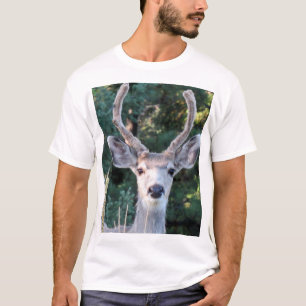 若いバックのシャツ Tシャツ