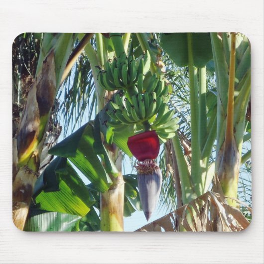 若いバナナ マウスパッド (正面)