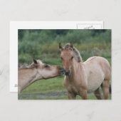 若いヘンソンが互いに遭遇する ポストカード (正面/裏面)