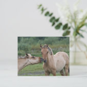 若いヘンソンが互いに遭遇する ポストカード (スタンド正面)