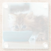 若いペルシャの子ネコ ガラスコースター (裏面)