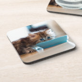 若いペルシャの子ネコ コースター (左側)