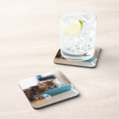 若いペルシャの子ネコ コースター (右側)