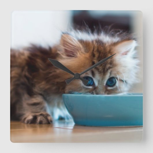 若いペルシャの子ネコ スクエア壁時計 (正面)