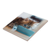 若いペルシャの子ネコ タイル (側面)