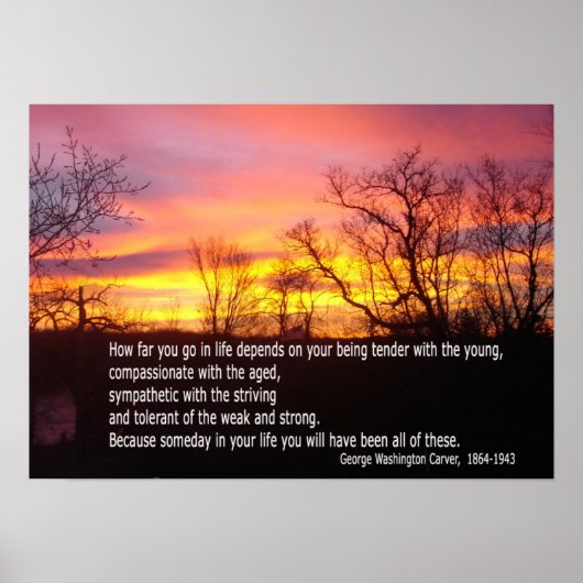 若いポスターを貼って柔らかい ポスター (正面)