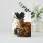 若いポーランド人 ポストカード (スタンド正面)