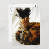 若いポーランド人 ポストカード (正面/裏面)