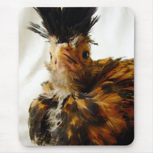 若いポーランド人 マウスパッド (正面)