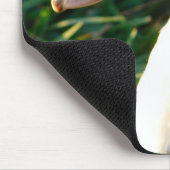 若いマスコヴィーヘンダック マウスパッド (コーナー)