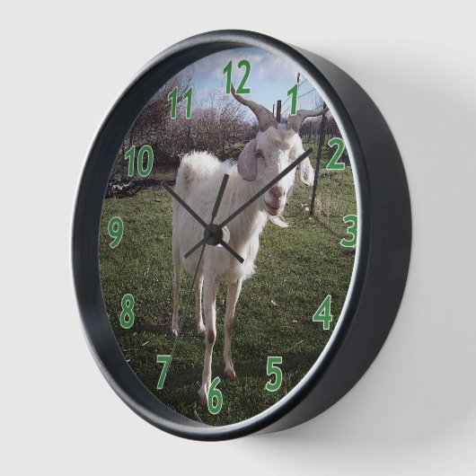 若いヤギ一頭 壁時計 (傾斜)