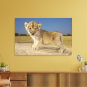 若いライオンの子のビュー（パンテラレオ）、見て キャンバスプリント (インサイチュ (リビング))