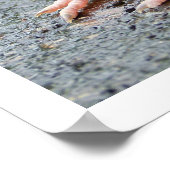 若いロビン座って ポスター (角)