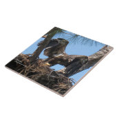 若いワシ羽ばたきスパイゲランドタイル タイル (側面)