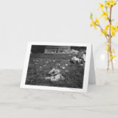 若い女の子の盗品のクランベリーの写真 カード (黄色い花)