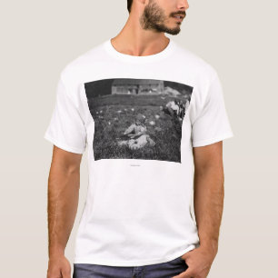 若い女の子の盗品のクランベリーの写真 Tシャツ