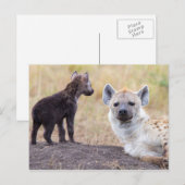 若い女性とハイエナ ポストカード (正面/裏面)