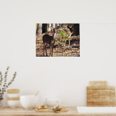 若い女性ホワイトテールディアドーのポスター ポスター (キッチン)