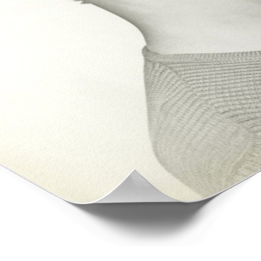 若い女性2 ポスター (角)