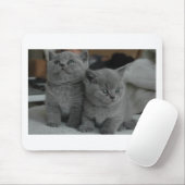 若い子ネコペットのどを鳴らす音の猫の鳴き声の子猫のかわいい猫 マウスパッド (マウス)