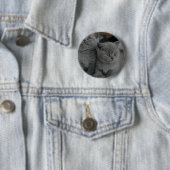若い子ネコペットのどを鳴らす音の猫の鳴き声の子猫のかわいい猫 缶バッジ (インサイチュ)