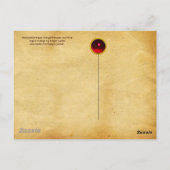 若い少女とアンティークワイナリーのブドウとワイン ポストカード (裏面)