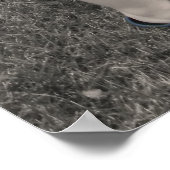 若い恋 ポスター (角)