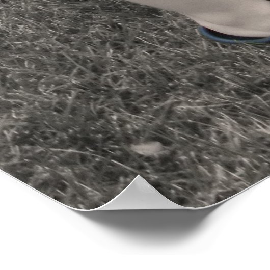 若い恋 ポスター (角)