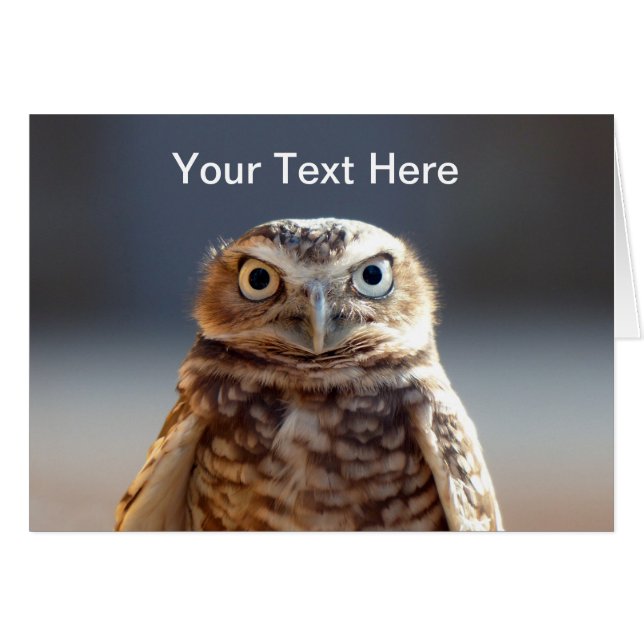 若い掘り進むフクロウ (正面横)