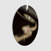 若い星を周回する2つのガス巨大外惑星 オーナメント (正面)