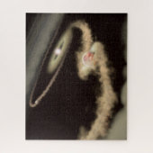 若い星を周回する2つのガス巨大外惑星 ジグソーパズル (縦)