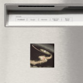 若い星を周回する2つのガス巨大外惑星 マグネット (インサイチュ (食洗機))