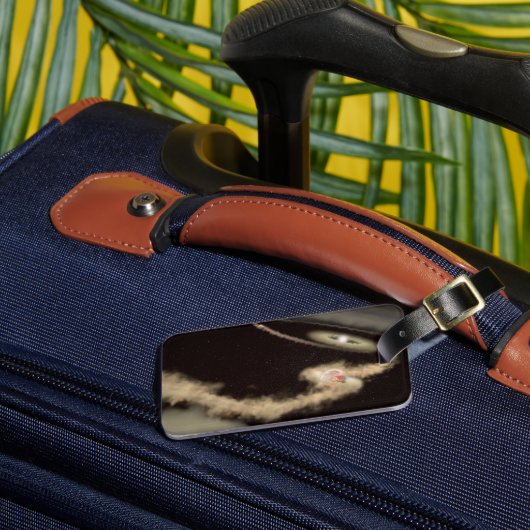 若い星を周回する2つのガス巨大外惑星 ラゲッジタグ (正面インサイチュ3)