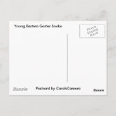 若い東ガータースネークコーディネート ポストカード (裏面)