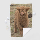 若い毛むくじゃらのスコットランドの高原牛 ゴルフタオル (インサイチュ)