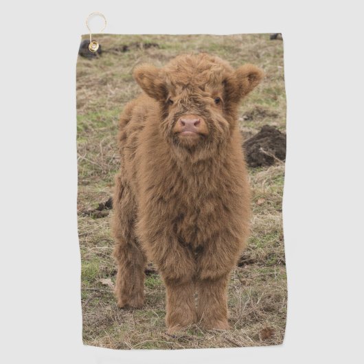 若い毛むくじゃらのスコットランドの高原牛 ゴルフタオル (正面)