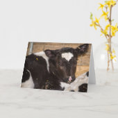 若い牛ブランクの挨拶状 カード (黄色い花)