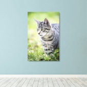 若い猫の自然 キャンバスプリント (インサイチュ (ウッドフロア))
