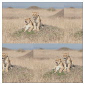 若い獅子 ファブリック (クローズアップ)