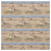 若い獅子 ファブリック (見本)