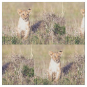 若い獅子 ファブリック (クローズアップ)