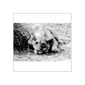 若い獅子 ラバースタンプ (インプリント)