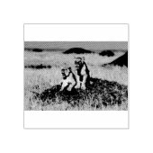 若い獅子 ラバースタンプ (インプリント)