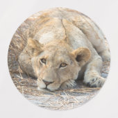 若い獅子 ラベル (デザイン1)