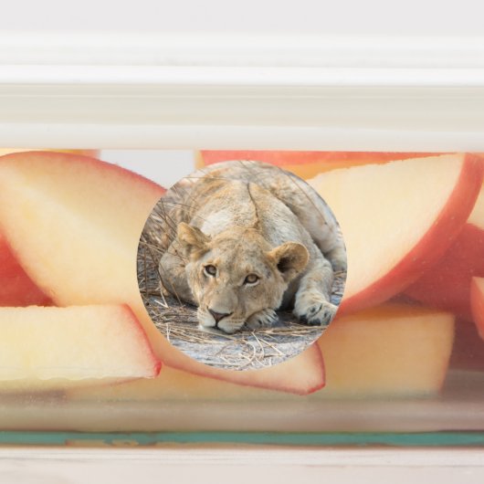 若い獅子 ラベル (貼付)