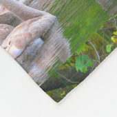 若い白鳥 フリースブランケット (角)