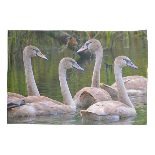 若い白鳥 枕カバー (裏面)